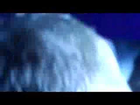 To Whom It May Concern, Underoath (Live)
